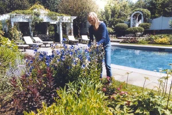 Jody's Garden Designs
